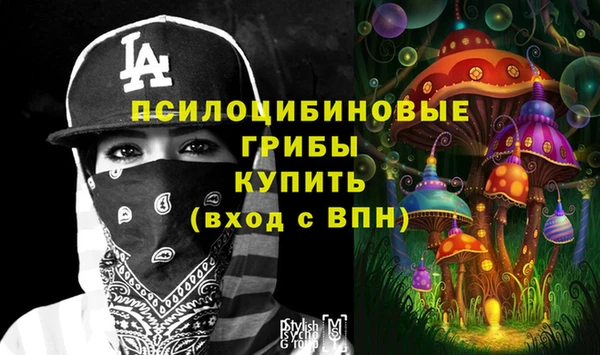 спиды Алексин