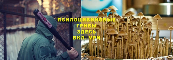 ПСИЛОЦИБИНОВЫЕ ГРИБЫ Алексеевка