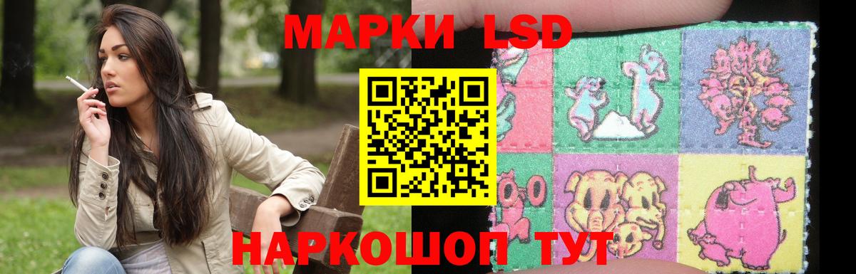 Лсд 25 экстази кислота  ЛСД экстази кислота  Вход с VPN  Сунжа 