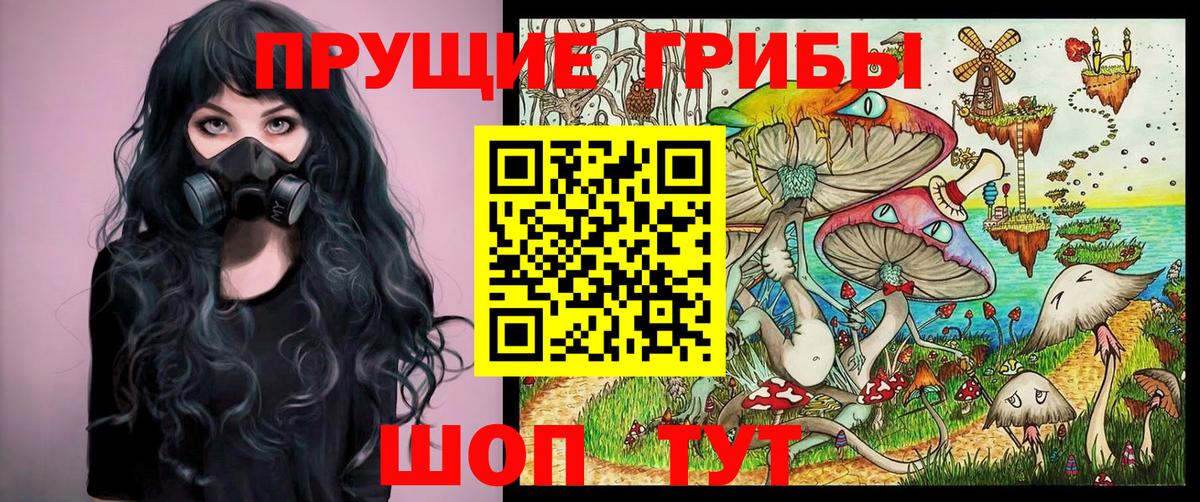 Псилоцибиновые грибы мицелий Сунжа