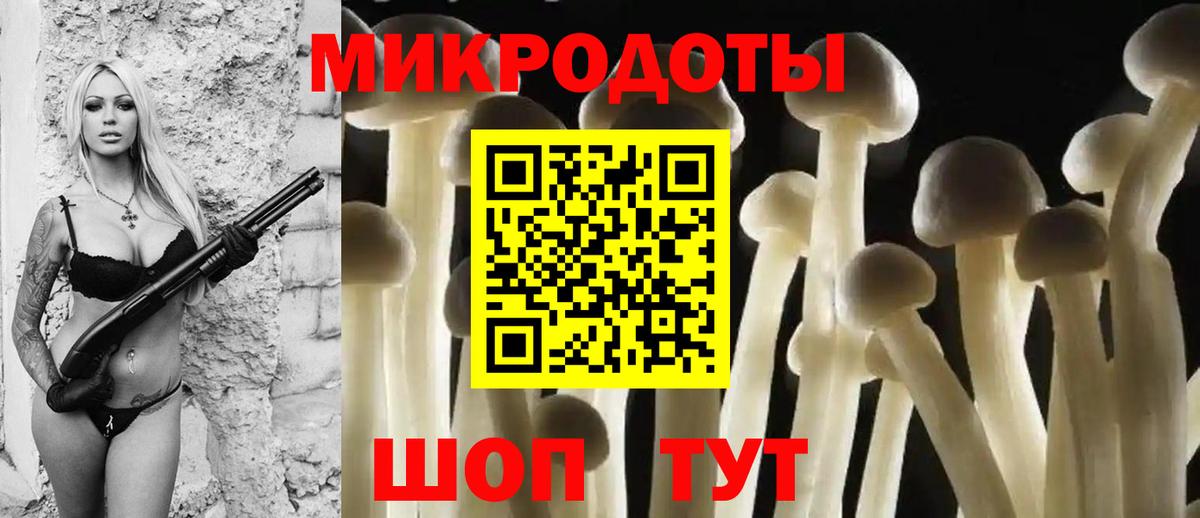 Псилоцибиновые грибы Psilocybe  Вход с VPN  Сунжа 