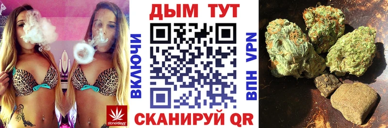 Конопля индика  Сунжа 