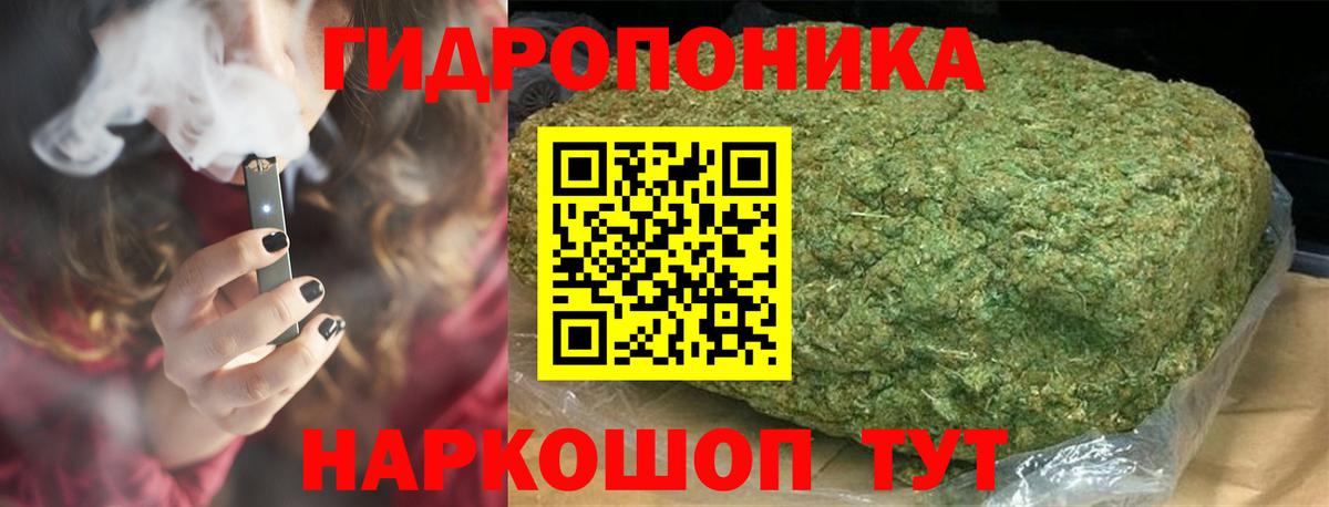 МАРИХУАНА OG Kush Сунжа